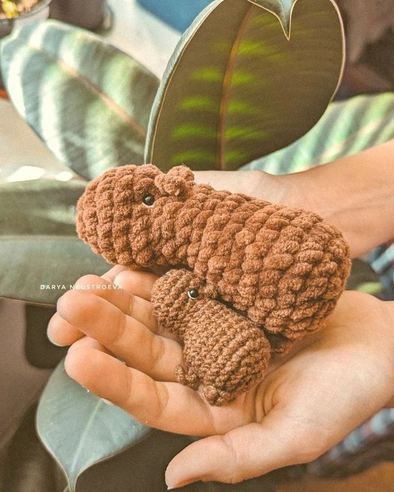 Sitting Capybara (Two Sizes) free crochet pattern by Darya Neustroeva