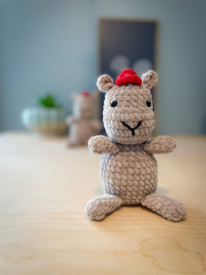 Mr. Cappy the Capybara free crochet pattern by Krissy