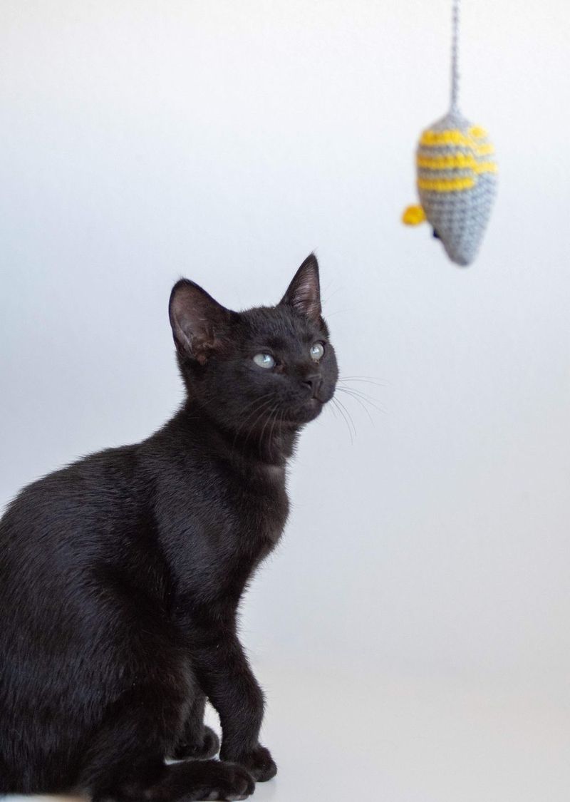 Toy Mouse for Cats free crochet pattern by Heather