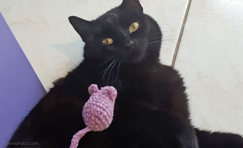 Cat Toys Set (Ball, Mouse and Fish) free crochet pattern by Yemi & Co.