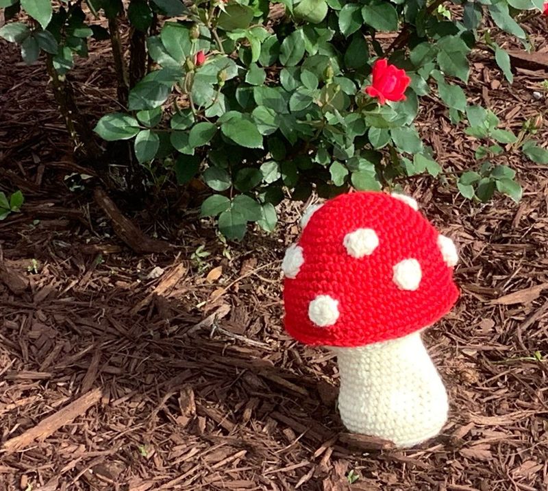Chonky Mushroom Softie free crochet pattern by Hooked for Life Publishing