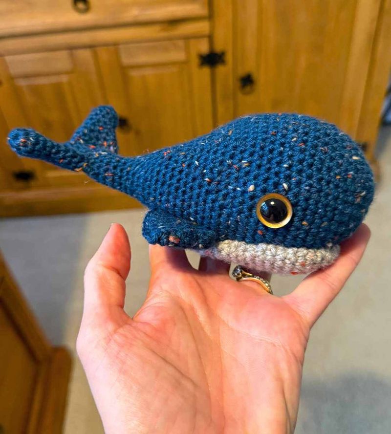 Beginner Whale Plushie free crochet pattern by Lucy Kate Crochet
